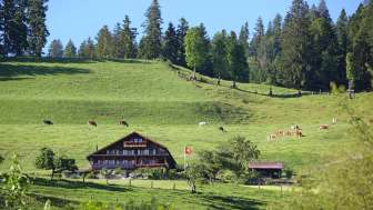 Berghaus Eggiwil