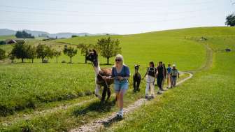Lamahof Tschäppel, Huttwil, Wanderung