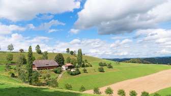 Eggenhof Rohrbachgraben 